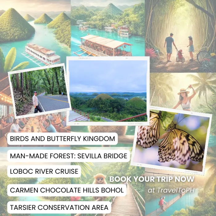 TravelToPH - Экскурсии / Туры - Круиз по реке Лобок - Шоколадные холмы - Королевство птиц и бабочек - Рукотворный лес Билар - Заповедник долгопят (тарсиры) - Бамбуковый мост Близнец в Севилле | VB-LRCCBBAABMLTCASTHB-D1