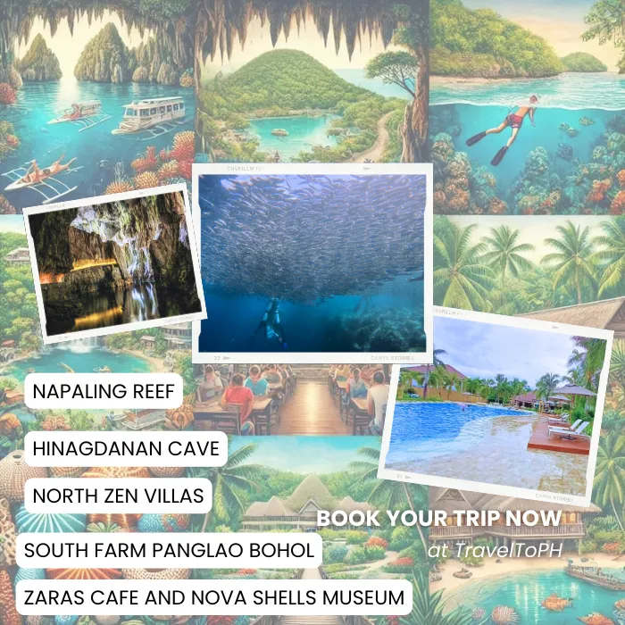 TravelToPH - Экскурсии / Туры - Экскурсия по острову Панглао: пещера Хинагданан - риф Напалинг - кафе Зары - южная ферма Панглао, Музей ракушек Нова - Норт Зен Виллас | VB-PIEHNRSFNBZN-D1
