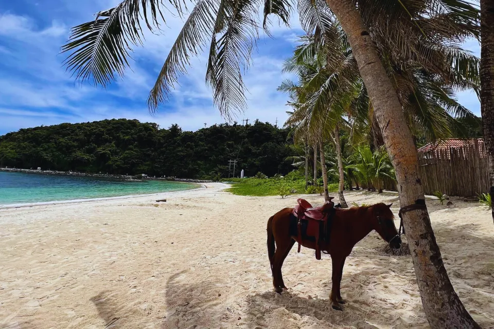 Отель Fairways & Bluewater Boracay 4* | VB-FBB4 Отель Fairways & Bluewater Boracay 4* | VB-FBB4