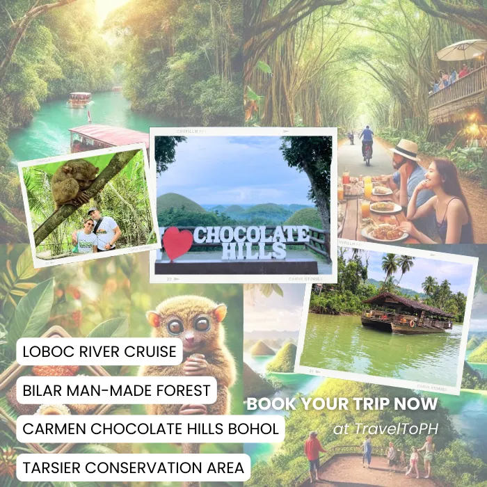 TravelToPH - Экскурсии / Туры - Круиз по реке Лобок - Искусственный лес Билар - Заповедник долгопят (тарсиры) - Шоколадные холмы | VB-LRCBMLTCA-D1