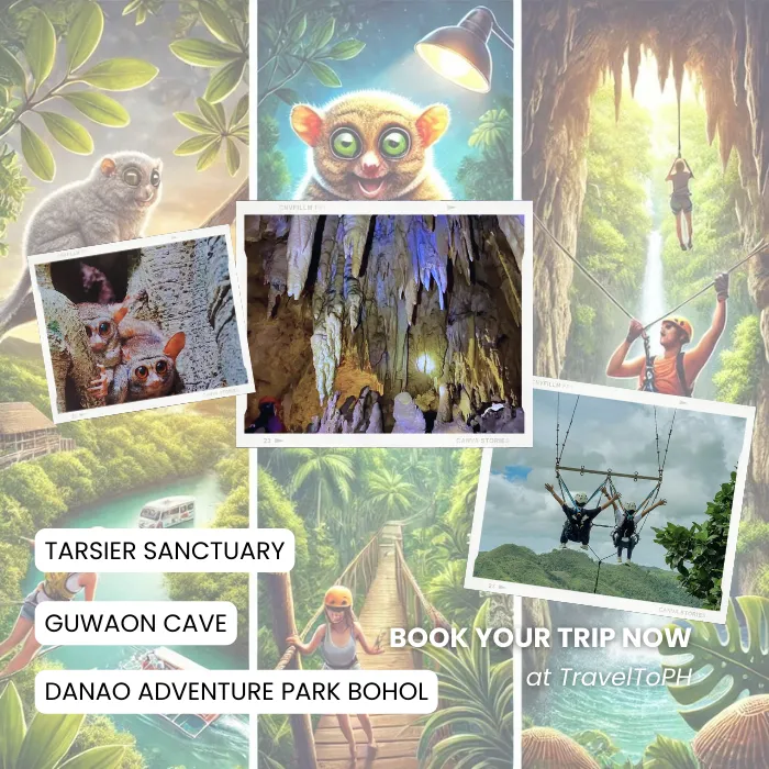 TravelToPH - Экскурсии / Туры - Заповедник Philippine Tarsier - пещера Гуаон - приключенческий парк Данао | VB-PTSGCDAP-D1