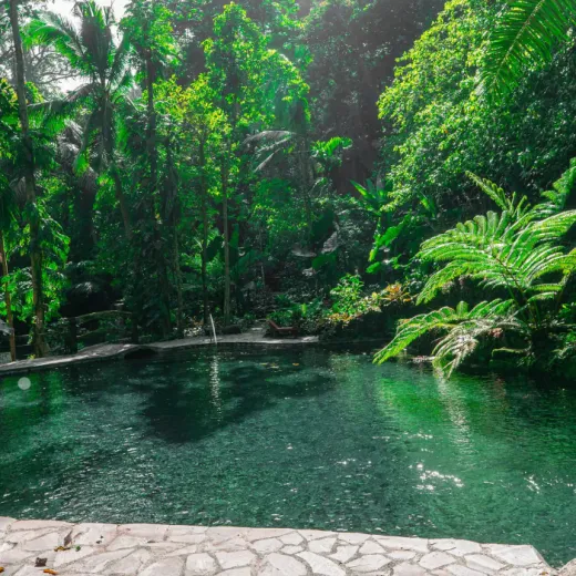 TravelToPH - Экскурсии / Туры - Затерянная долина. Экскурсия из Манилы. | LM-HVSTFM-D1