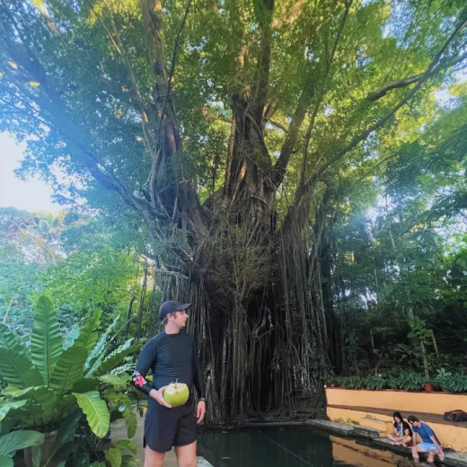 TravelToPH - Экскурсии / Туры - Водопады Камбугахай - старое зачарованное дерево Балете - пляжный клуб и курорт RUNIK | VS-CFOEBTRBCR-D1 TravelToPH - Экскурсии / Туры - Водопады Камбугахай - старое зачарованное дерево Балете - пляжный клуб и курорт RUNIK | VS-CFOEBTRBCR-D1