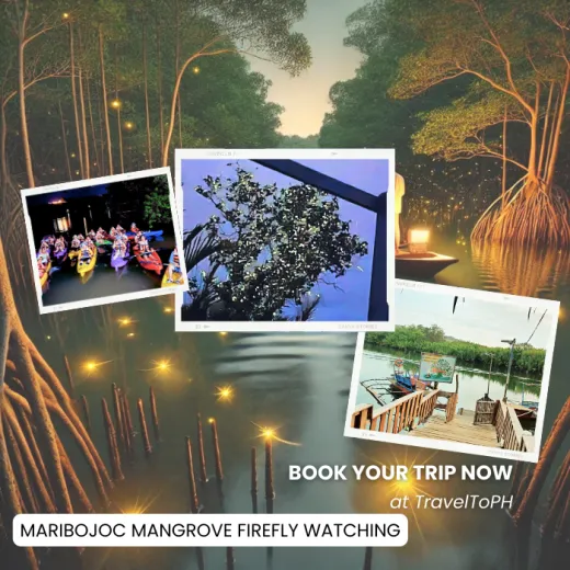 TravelToPH - Экскурсии / Туры - Наблюдение за светлячками в мангровых лесах Марибохока | VB-MMFW-D1