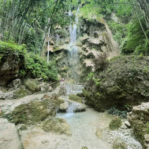 TravelToPH - Экскурсии / Туры - Плавание с Китовыми Акулами в Ослобе - Водопад Тумалог - Католическая Церковь Симала | VC-WSWOTWSPC-D1