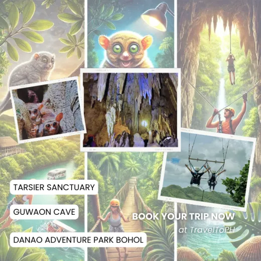 TravelToPH - Экскурсии / Туры - Заповедник Philippine Tarsier - пещера Гуаон - приключенческий парк Данао | VB-PTSGCDAP-D1