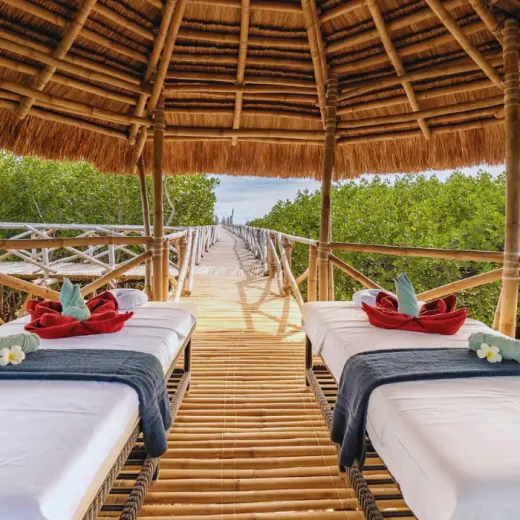 TravelToPH - Экскурсии / Туры - Экскурсия по острову Панглао: пещера Хинагданан - риф Напалинг - кафе Зары - южная ферма Панглао, Музей ракушек Нова - Норт Зен Виллас | VB-PIEHNRSFNBZN-D1