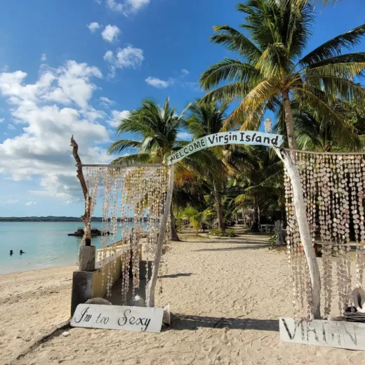 TravelToPH - Экскурсии / Туры - Вариант C: остров Вирджин - рынок вяленой рыбы и овощей на Бантаян | VB-OCHDTVIBDFVM-D1