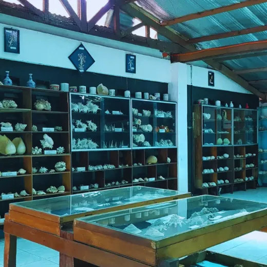 TravelToPH - Экскурсии / Туры - Экскурсия по острову Панглао: пещера Хинагданан - риф Напалинг - кафе Зары - южная ферма Панглао, Музей ракушек Нова - Норт Зен Виллас | VB-PIEHNRSFNBZN-D1