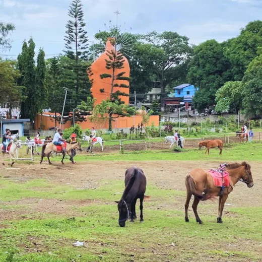 TravelToPH - Экскурсии / Туры - Город Тагайтай - вулкан Таал - пикниковый комплекс Тагайтай | LM-TCTVTPG-D1