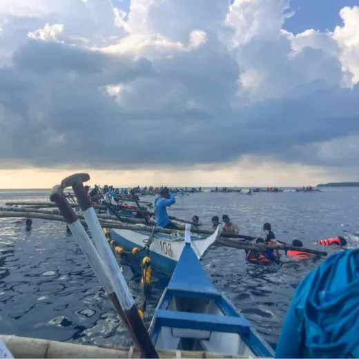 TravelToPH - Экскурсии / Туры - Плавание с Китовыми Акулами в Ослоб | VC-WSW-D1