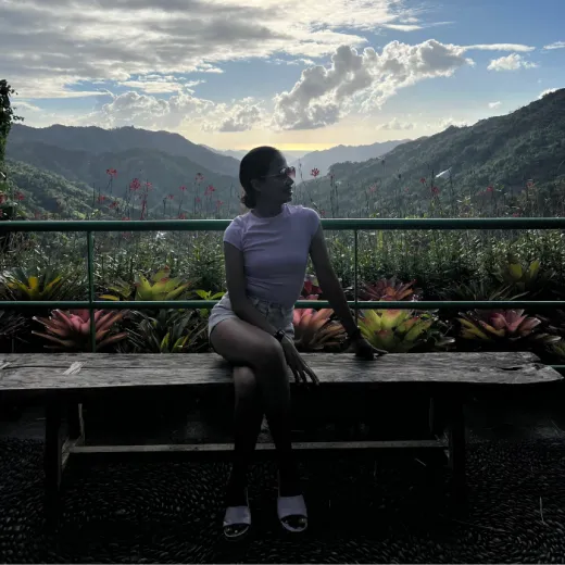 TravelToPH - Экскурсии / Туры - Клубничная Экоферма де Кантипла - Сад Бувакан ни Алехандра - Лейквью Ле Жардин | VC-SCEFBALLJ-D1