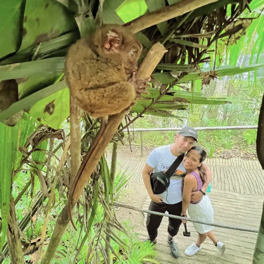 TravelToPH - Экскурсии / Туры - Плавание с китовыми акулами в Тауге на Бохоле - Зиплайн - Заповедник долгопят (тарсиры) - Шоколадные холмы - Квадроциклы - Водопады Камугао | VB-TWSWZLTCACHSARCF-D1