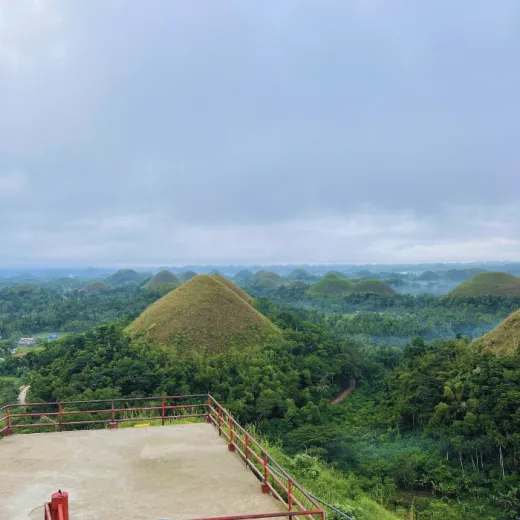 TravelToPH - Экскурсии / Туры - Плавание с китовыми акулами в Тауге на Бохоле - Зиплайн - Заповедник долгопят (тарсиры) - Шоколадные холмы - Квадроциклы - Водопады Камугао | VB-TWSWZLTCACHSARCF-D1