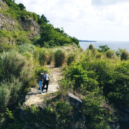 TravelToPH - Экскурсии / Туры - Эли Рок - Плавание с Китовыми Акулами - Водопады Тумалог - Каньонинг на водопадах Кавасан | VC-ERWSWTWKFC-D1