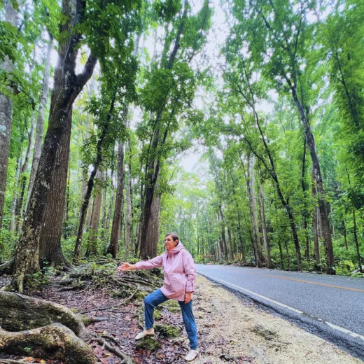 TravelToPH - Экскурсии / Туры - Шоколадные холмы - Квадроциклы - Заповедник долгопят (тарсиры) - Искусственный лес Билар - Экопарк экотуризма Лобок | VB-CHSATRBMLA-D1