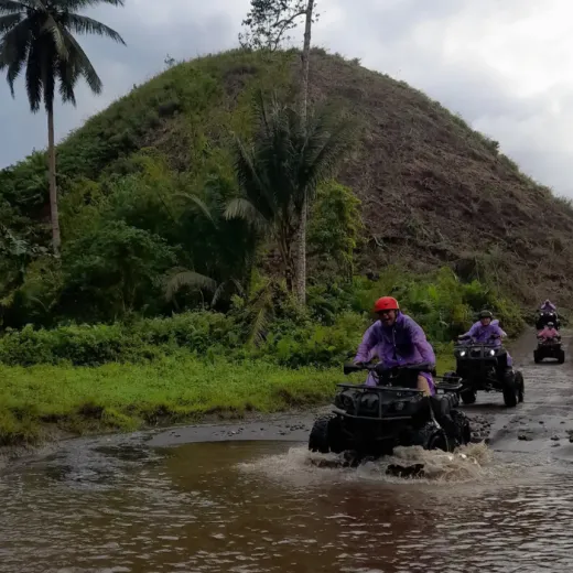 TravelToPH - Экскурсии / Туры - Плавание с китовыми акулами в Тауге на Бохоле - Зиплайн - Заповедник долгопят (тарсиры) - Шоколадные холмы - Квадроциклы - Водопады Камугао | VB-TWSWZLTCACHSARCF-D1