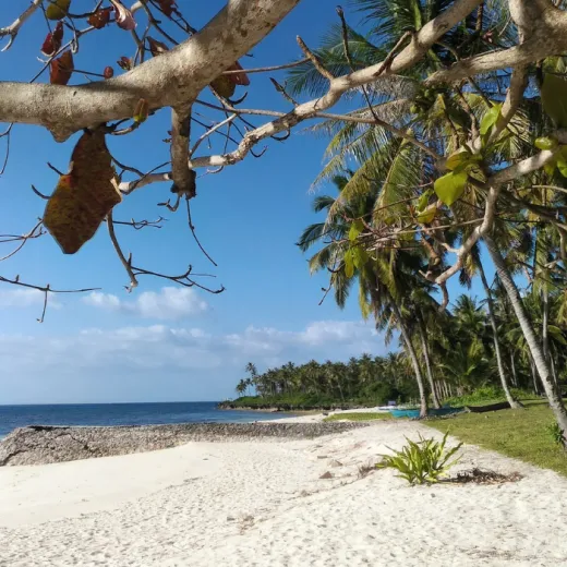 TravelToPH - Экскурсии / Туры - Пляж Сантьяго - Пляж Батсон - Скала Мангодлонг - Пляж Бакхау - Скрытые хижины | VC-SBBBMRBBHH-D1