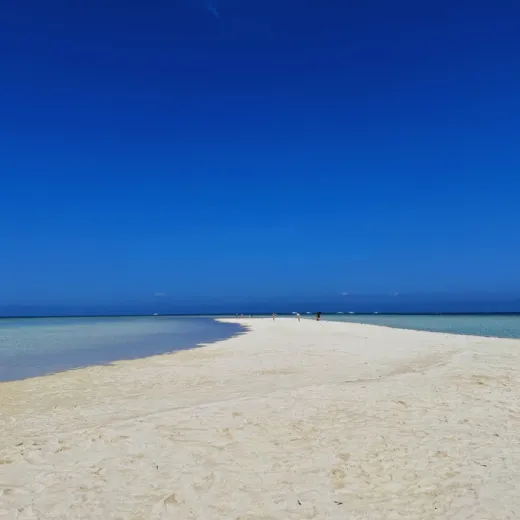 TravelToPH - Экскурсии / Туры - Наблюдение за дельфинами - остров Баликасаг - остров Верджин | VB-DWBIVI-D1