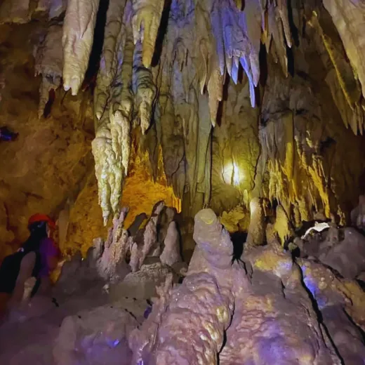 TravelToPH - Экскурсии / Туры - Заповедник Philippine Tarsier - пещера Гуаон - приключенческий парк Данао | VB-PTSGCDAP-D1