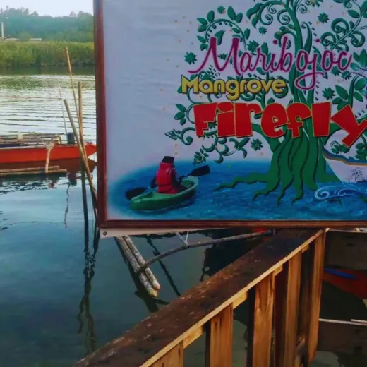 TravelToPH - Экскурсии / Туры - Наблюдение за светлячками в мангровых лесах Марибохока | VB-MMFW-D1
