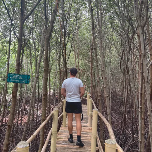 TravelToPH - Экскурсии / Туры - Вариант B - Утренняя экскурсия по острову + Дневной круиз по островам: пляж Кота - мангровый лес Сави - остров Вирджин - маленькие островки | VB-OBELTAIHKBMCSVISS-D1