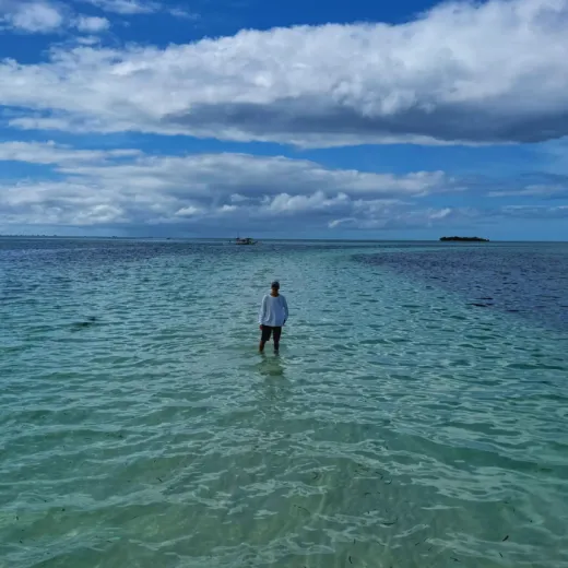 TravelToPH - Экскурсии / Туры - Наблюдение за дельфинами - остров Баликасаг - остров Верджин | VB-DWBIVI-D1