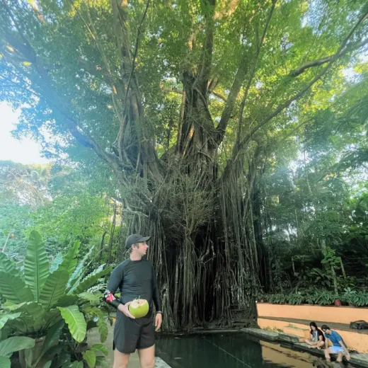 TravelToPH - Экскурсии / Туры - Церковь Лази - подземная река Самбулаван - старое зачарованное дерево Балете - курорт с видом на закат FIG | VS-LCSUROEBTFSVR-D1