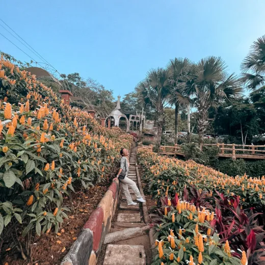 TravelToPH - Экскурсии / Туры - Храм Леи - Райский уголок Humba - Сад Сирао | VC-TLHHSG-D1 TravelToPH - Экскурсии / Туры - Храм Леи - Райский уголок Humba - Сад Сирао | VC-TLHHSG-D1