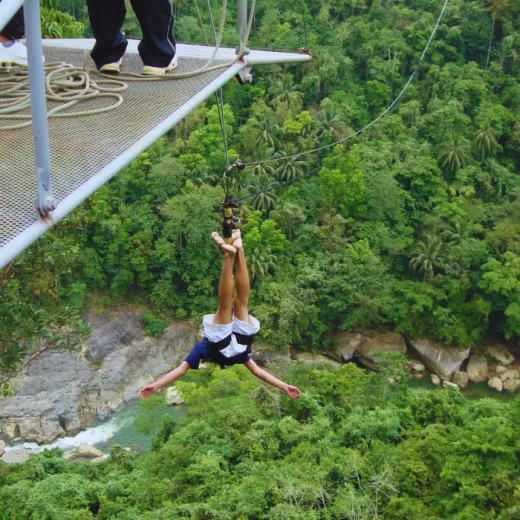 TravelToPH - Экскурсии / Туры - Заповедник Philippine Tarsier - пещера Гуаон - приключенческий парк Данао | VB-PTSGCDAP-D1