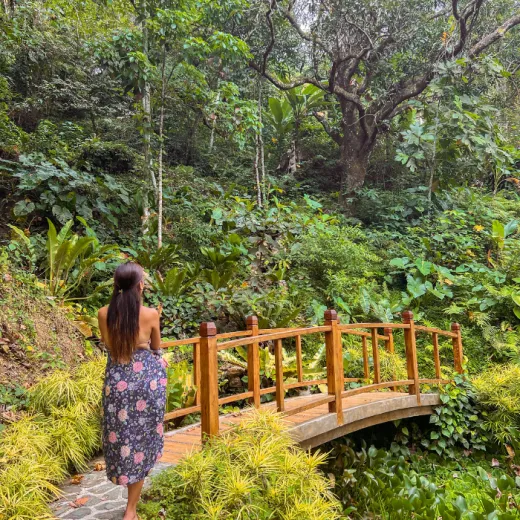 TravelToPH - Экскурсии / Туры - Храм Леи - Кафе Матана - Ботанический сад Террасас де Флорес - Жизнь в Небесах | VC-TLMCTFBGLVS-D1