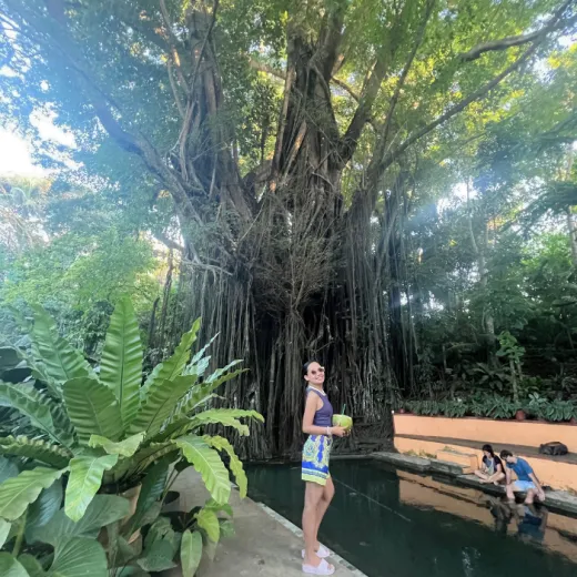 TravelToPH - Экскурсии / Туры - Водопады Камбугахай - старое зачарованное дерево Балете - пляжный клуб и курорт RUNIK | VS-CFOEBTRBCR-D1 TravelToPH - Экскурсии / Туры - Водопады Камбугахай - старое зачарованное дерево Балете - пляжный клуб и курорт RUNIK | VS-CFOEBTRBCR-D1