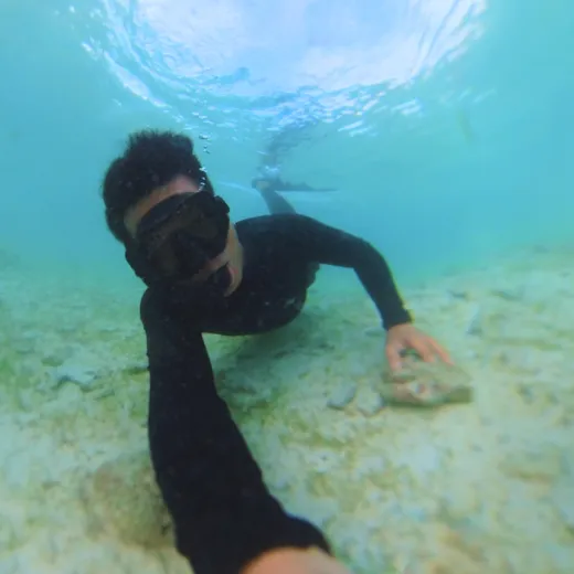 TravelToPH - Экскурсии / Туры - Плавание с Китовыми Акулами в Ослобе - Каньонинг на водопадах Кавасан - Дайвинг с Сардинами в Моалбоал | VC-WSWOKFCDSM-D1