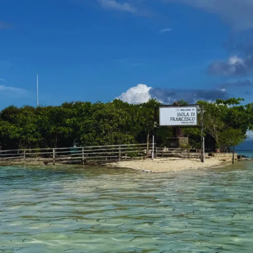 TravelToPH - Экскурсии / Туры - Наблюдение за дельфинами - остров Баликасаг - остров Верджин | VB-DWBIVI-D1