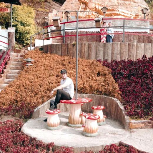 TravelToPH - Экскурсии / Туры - Сад Сирао - Маленький Киото Сачико - Жизнь в Небесах | VC-SGSLKLVS-D1