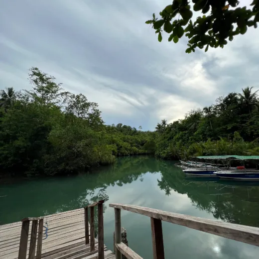 TravelToPH - Экскурсии / Туры - Круиз по реке Бохо - Пляж Уединения | VC-BRCHCB-D1