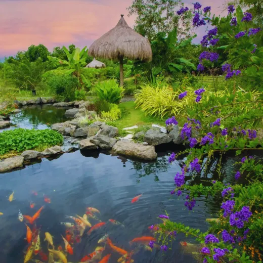 TravelToPH - Экскурсии / Туры - Экскурсия по острову Панглао: пещера Хинагданан - риф Напалинг - кафе Зары - южная ферма Панглао, Музей ракушек Нова - Норт Зен Виллас | VB-PIEHNRSFNBZN-D1