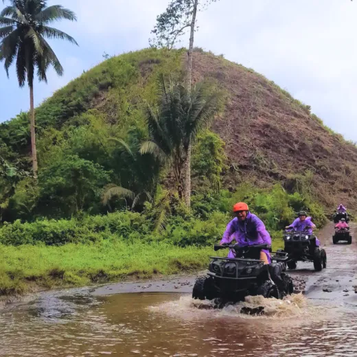 TravelToPH - Экскурсии / Туры - Шоколадные холмы - Квадроциклы - Заповедник долгопят (тарсиры) - Искусственный лес Билар - Экопарк экотуризма Лобок | VB-CHSATRBMLA-D1