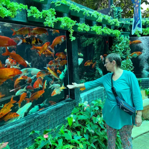 TravelToPH - Экскурсии / Туры - Город Данао - Сафари Парк Себу | VC-DCCSAP-D1