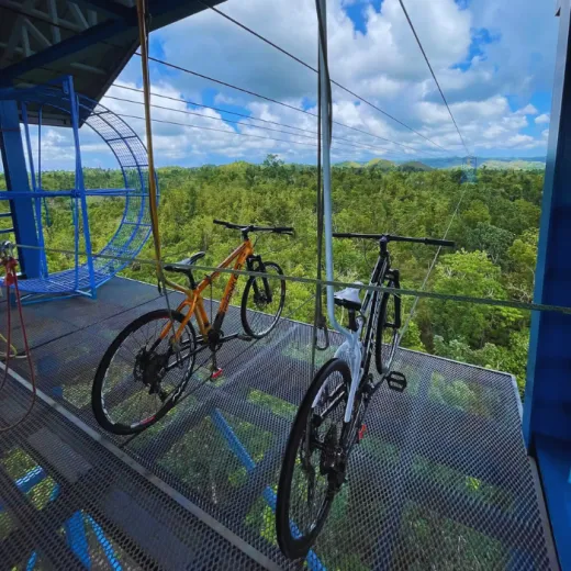 TravelToPH - Экскурсии / Туры - Заповедник Philippine Tarsier - пещера Гуаон - приключенческий парк Данао | VB-PTSGCDAP-D1