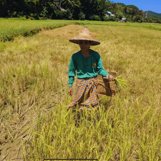 TravelToPH - Экскурсии / Туры - Музей живой культуры Мотаг - река Лангуйон | VB-MLMLR-D1 TravelToPH - Экскурсии / Туры - Музей живой культуры Мотаг - река Лангуйон | VB-MLMLR-D1