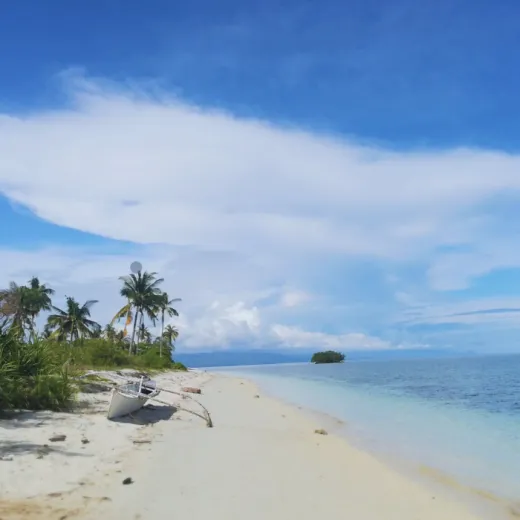 TravelToPH - Экскурсии / Туры - Остров Памилакан (сноркелинг) | VB-PI-D1