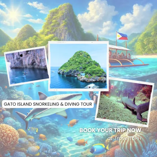 TravelToPH - Экскурсии / Туры - Cноркелинг и дайвинг на острове Гато | VM-GISDT-D1