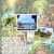 TravelToPH - Экскурсии / Туры - Круиз по реке Лобок - Искусственный лес Билар - Заповедник долгопят (тарсиры) - Шоколадные холмы | VB-LRCBMLTCA-D1 TravelToPH - Экскурсии / Туры - Круиз по реке Лобок - Искусственный лес Билар - Заповедник долгопят (тарсиры) - Шоколадные холмы | VB-LRCBMLTCA-D1