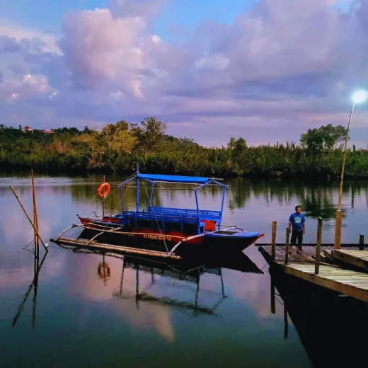 TravelToPH - Экскурсии / Туры - Наблюдение за светлячками в мангровых лесах Марибохока | VB-MMFW-D1