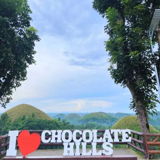 TravelToPH - Экскурсии / Туры - Плавание с китовыми акулами в Тауге на Бохоле - Зиплайн - Заповедник долгопят (тарсиры) - Шоколадные холмы - Квадроциклы - Водопады Камугао | VB-TWSWZLTCACHSARCF-D1