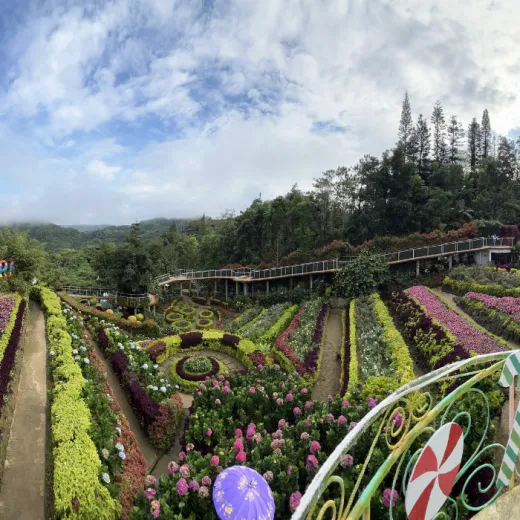 TravelToPH - Экскурсии / Туры - Бувакан ни Алехандра - Сад Сирао - Жизнь в Небесах | VC-BASGLVS-D1