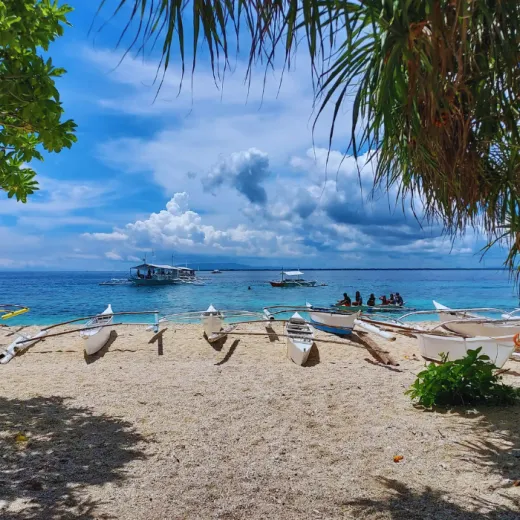 TravelToPH - Экскурсии / Туры - Наблюдение за дельфинами - остров Баликасаг - остров Верджин | VB-DWBIVI-D1