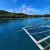 TravelToPH - Экскурсии / Туры - Снорклинг с дюгонями | LC-DWS-D1 TravelToPH - Экскурсии / Туры - Снорклинг с дюгонями | LC-DWS-D1