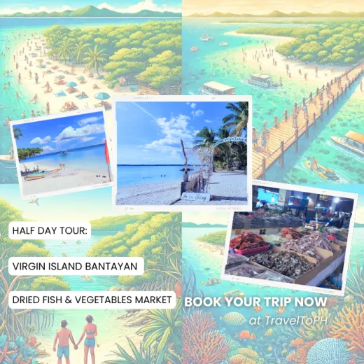 TravelToPH - Экскурсии / Туры - Вариант C: остров Вирджин - рынок вяленой рыбы и овощей на Бантаян | VB-OCHDTVIBDFVM-D1